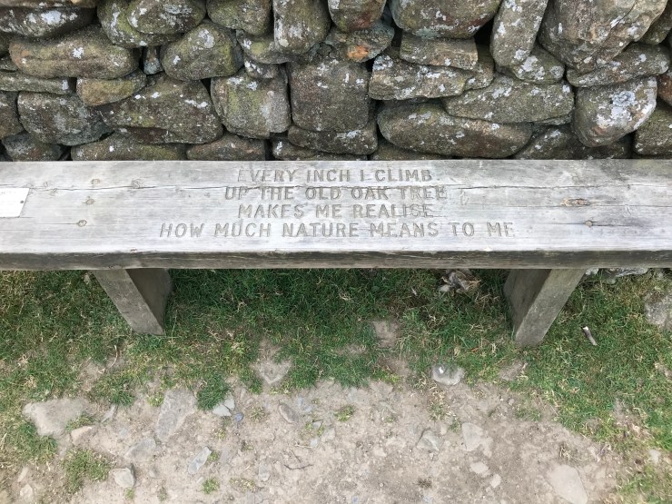 lYO4bYlOTW+QgaoXpK1EAg